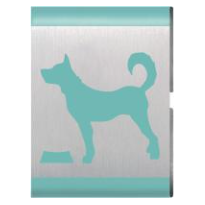 Adventure Loop - Bear Elective - Critter Care