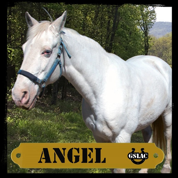 Sticker 3" Horse - Angel