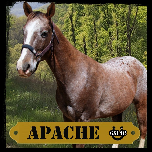 Sticker 3" Horse - Apache