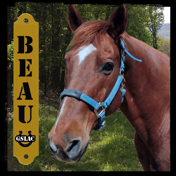 Sticker 3" Horse - Beau
