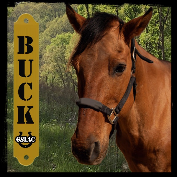 Sticker 3" Horse - Buck