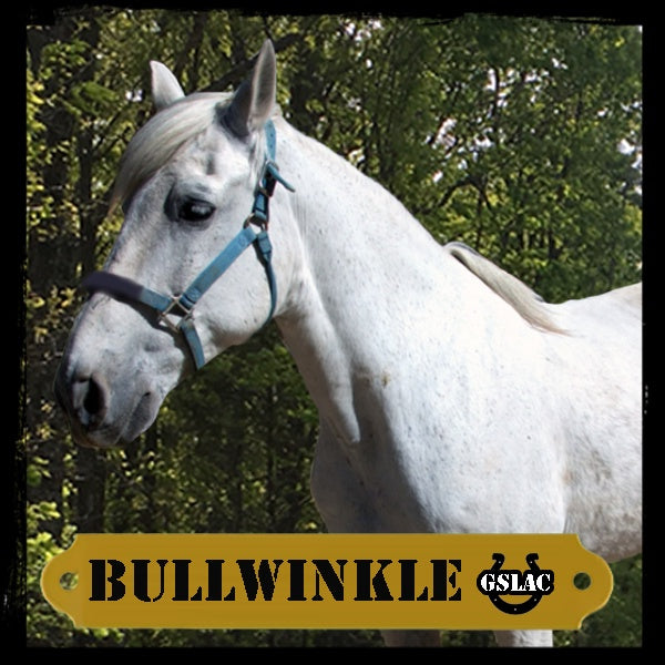 Sticker 3" Horse - Bullwinkle