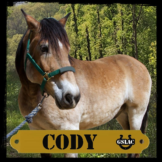 Sticker 3" Horse - Cody