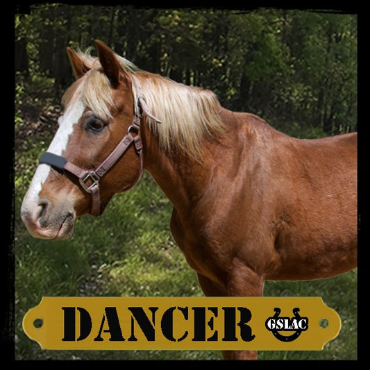 Sticker 3" Horse - Dancer