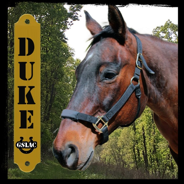 Sticker 3" Horse - Duke