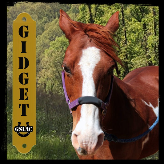 Sticker 3" Horse - Gidget
