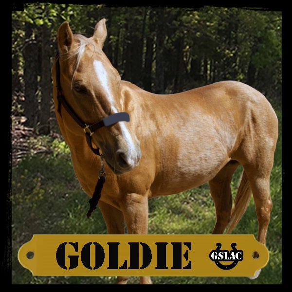 Sticker 3" Horse - Goldie