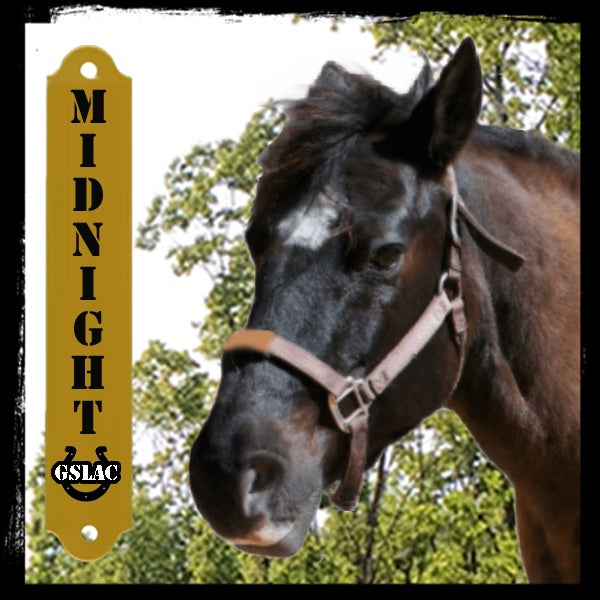 Sticker 3" Horse - Midnight