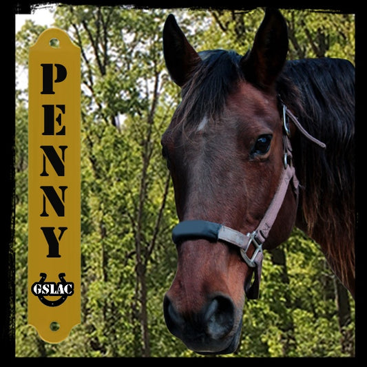 Sticker 3" Horse - Penny