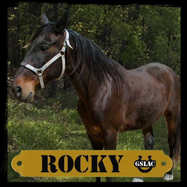 Sticker 3" Horse - Rocky