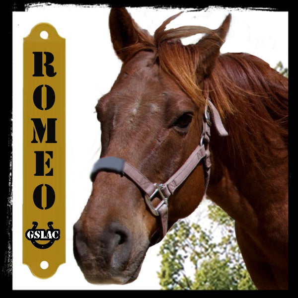 Sticker 3" Horse - Romeo