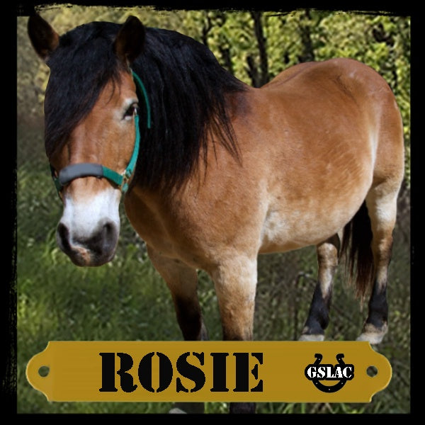 Sticker 3" Horse - Rosie